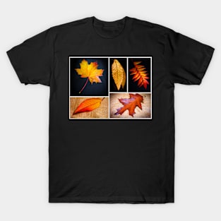 Autumn T-Shirt